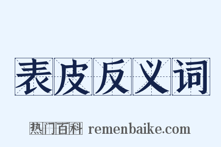 表皮反义词是什么意思的图片